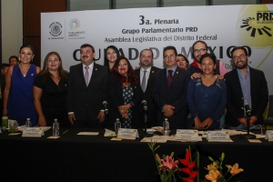 Agenda para la Ciudad consagrar derechos en la Constitucin de la Ciudad de Mxico: GPPRD 
 
