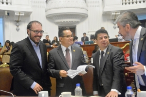 Pide ALDF mayor coordinacin entre dependencias federales, gobierno de la Ciudad de Mxico y delegaciones para no duplicar esfuerzos 
