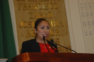 Diputacin Permanente determin negar ratificacin a ex magistrada del TCADF, Irma Larios Medina