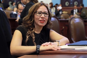  
Acusa Wendy Gonzlez de electorero e inconstitucional el Presupuesto 2017 planteado por EPN
