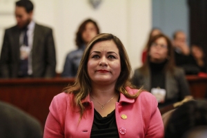 Mxico debe rechazar el muro y el impuesto fronterizo que pretende imponer Donald Trump: Elizabeth Mateos