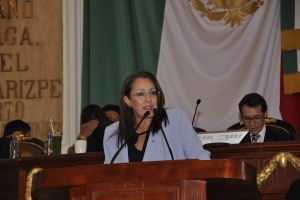 Elena Segura propone crear el Fondo de Prevencin de Desastres de la CDMX