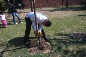 LIBERA DIPUTADO RBOLES EN CULHUACN