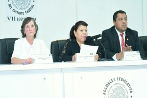 Morena pide informe sobre Consejos de Prevencin del Delito