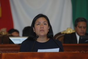 REFORMA ENERGTICA, MS RIQUEZA PARA LA IP: DIP. ARIADNA MONTIEL 