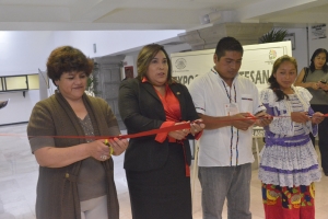 INAUGURAN EXPOSICIN ARTESANAL MAZAHUA Y URBANA EN DF
