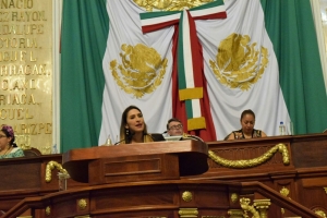 LA VICECOORDINADORA DEL PARTIDO REVOLUCIONARIO INSTITUCIONAL (PRI) MARIANA MOGUEL ROBLES EXHORTA EL DERECHO AL AGUA EN LA ZONA SUR DEL DISTRITO FEDERAL