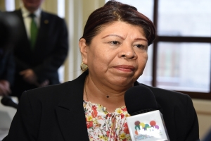 Legisladora urge a MAM embovedar Ro de los Remedios     