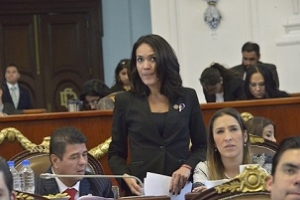 PARA ABATIR LA CORRUPCIN, RESPALDO TOTAL A LA INICIATIVA 3 DE 3: DUNA LUDLOW DELOYA