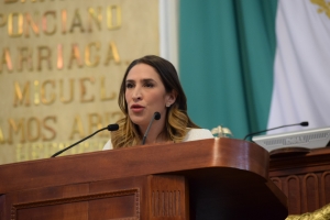 Dip. Mariana Moguel Robles solicit adoptar medidas para consolidar la procuracin de justicia a los capitalinos