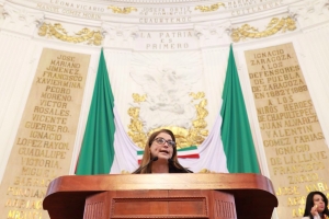 Diputados locales exigen cuentas al gobierno capitalino por el Deprimido Mixcoac: diputada Margarita Martnez Fisher
