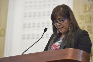 SEALA LUCILA ESTELA ILEGALIDADES EN OPERATIVO RASTRILLO