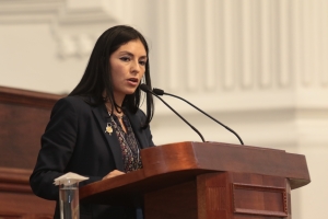 SOLICITA LA DIP. LOURDES VALDEZ CUEVAS CONSULTA CIUDADANA PARA USO DE TERRENOS DEL AICM