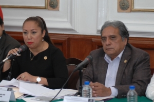 SUMISION DEL LEGISLATIVO AL EJECUTIVO, VIOLENTA DERECHOS HUMANOS: LJH