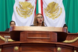 Dejar de perseguir movimientos sociales, exige Wendy Gonzlez al Estado  