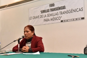 EL GOBIERNO FEDERAL DEBE PROHIBIR LA PRODUCCIN, IMPORTACIN, USO Y COMERCIALIZACIN DE CUALQUIER TIPO DE TRANSGNICO EN TODO EL TERRITORIO NACIONAL: DIP. JUANA MARA JUREZ LPEZ
 