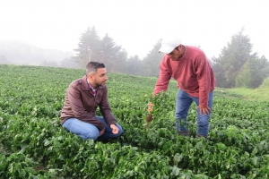 Productores de la CDMX se ven afectados por granizada y ALDF pide sean apoyados