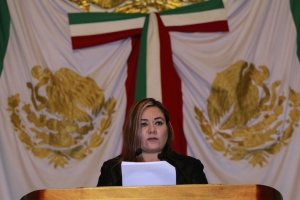 PIDE ALDF INCLUIR AL CONSEJO CIUDADANO DE LA CDMX 
EN LA ELECCIN DE LA ASAMBLEA CONSTITUYENTE
