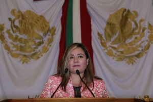 
Pide Elizabeth Mateos garantizar terapias de rehabilitacin a nias, nios y adolescentes con discapacidad
