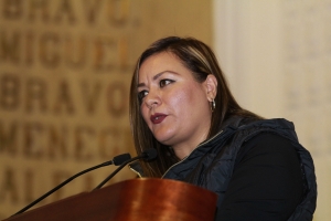 Propone Elizabeth Mateos reformar Ley Orgnica ALDF a favor de grupos vulnerables
