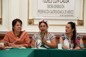 Insoslayable, mantener y fomentar valores que nos han otorgado identidad nacional y mundial: diputada Elosa Lescas Hernndez
 