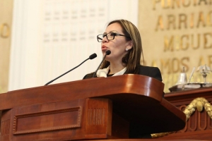 Solicita diputada panista un informe sobre las violaciones al Reglamento de Trnsito de vehculos oficiales