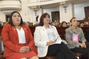 COMBATIR ALDF FORMAS DE DISCRIMINACIN CONTRA MUJERES 