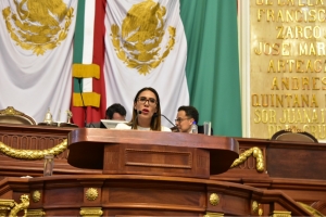 Pide Mariana Moguel resignificar la importancia del Servicio Social en la CDMX para crear proyectos que beneficien a la poblacin vulnerable