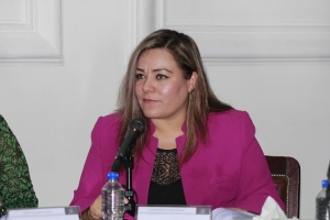 La defensa de los derechos de la niez no se regatea: Elizabeth Mateos