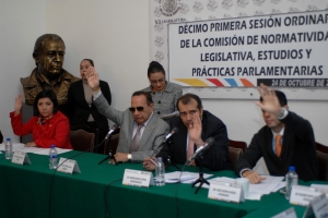 REFORMAN EN COMISIONES REGLAMENTO INTERIOR Y LEY RGANICA DE ALDF