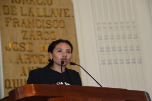 Llama Beatriz Olivares a establecer una mesa de dilogo entre la CNTE y el Ejecutivo Federal