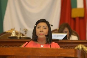 EXIGE PRI  QUE AUTORIDADES LOCALES VERIFIQUEN NO UTILIZACION DE RECURSOS PUBLICOS DELEGACIONALES EN ELECCIONES DE DOMINGO PASADO