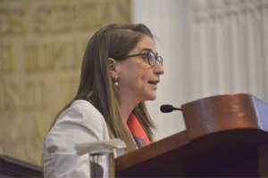 DIPUTADA MARTNEZ FISHER PIDE PARTIDA DE 20 MDP PARA CATLOGO SOBRE PATRIMONIO CULTURAL DEL DF