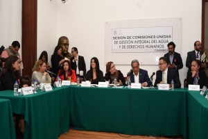 Comisiones unidas aprueban que derecho al agua sea fundamental en Constitucin de la Ciudad de Mxico
