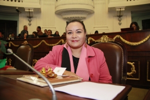 Garantizar nueva Constitucin derechos electorales de las mujeres: Elizabeth Mateos
 
