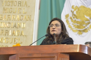 LA DESAPARICIN DE LOS ETIQUETADOS RETRASAR QUE LOS RECURSOS LLEGUEN A TIEMPO A LA GENTE: ALEIDA ALAVEZ