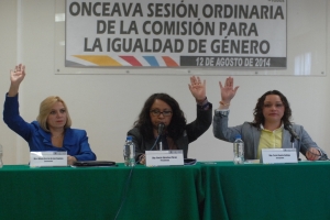 APRUEBA COMISIN CONSEJO CONSULTIVO DEL INSTITUTO DE MUJERES DEL DF
