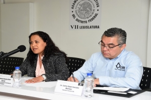 ANUNCIA DIPUTADA VANIA VILA LA REALIZACIN DEL FORO LA PARTICIPACIN CIUDADANA EN EL MARCO DE LA CONSTITUCIN DE LA CIUDAD DE MXICO EN COORDINACIN CON EL IEDF Y TEDF
 