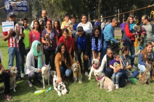 Conviven en Iztapalapa familias con sus mascotas caninas en apoyo al cuidado de los animales en la CDMX