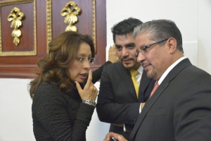 GRAVE OMISIN RENDICIN DE CUENTAS EN NOMBRAMIENTO DE ALFREDO CASTILLO: PRD