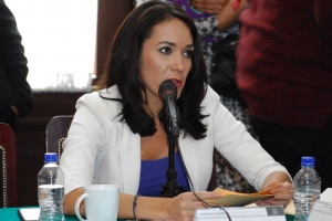 La Ciudad de Mxico debe otorgar vivienda digna para los hogares con Jefatura Femenina: Diputada Dunia Ludlow