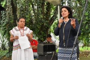 Preservar los espacios culturales de Xochimilco solicita la diputada Flor  Ivone Morales Miranda